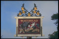 340028 Crest & Gun, Eridge, Kent A4 Photo Print