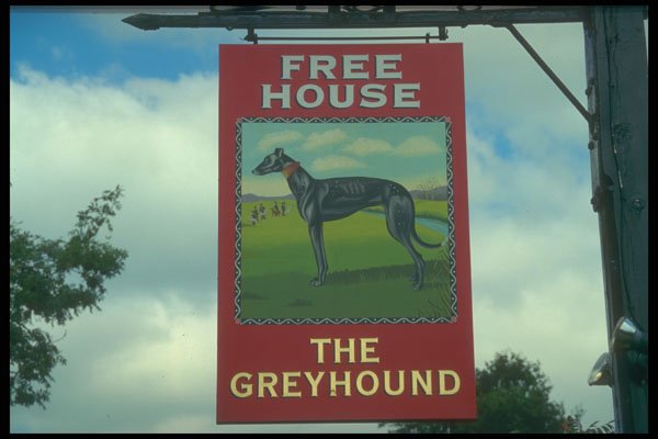 340067 The Grey Hound, Mark, Beech A4 Photo Print