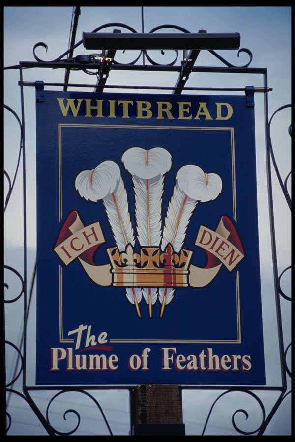 340076 Plume Of Feathers, Wenlock Edge, Shropshire A4 Photo Print