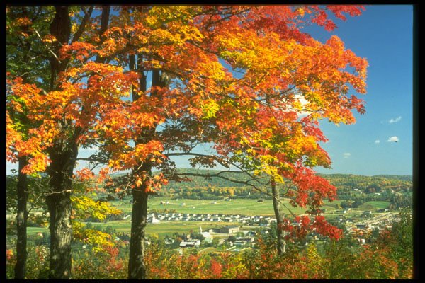 341000 Lesage, Quebec A4 Photo Print