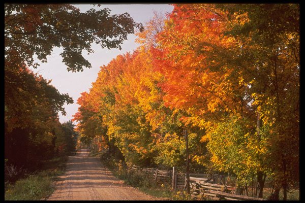 341002 Rideau Lakes, Ontario A4 Photo Print