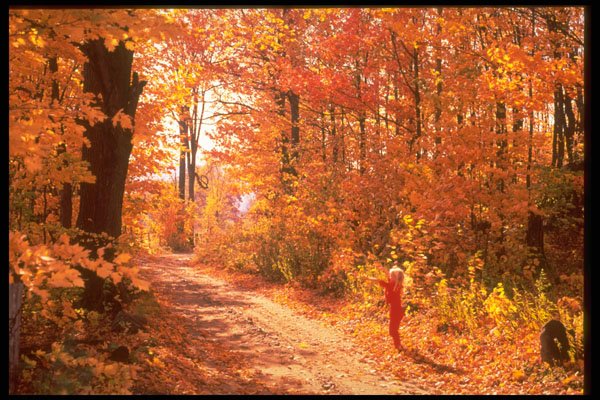 341003 Old Ferry Road, Cantley, Quebec A4 Photo Print