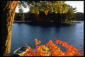 341024 Lake Muskoka, Ontario A4 Photo Print