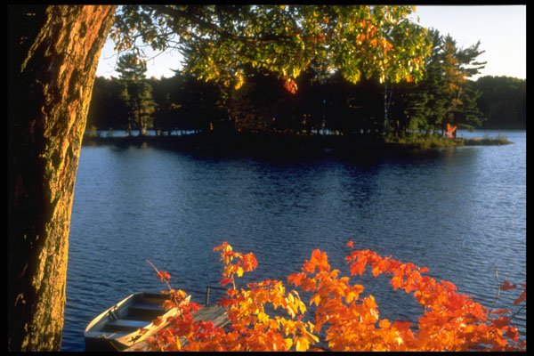 341024 Lake Muskoka, Ontario A4 Photo Print