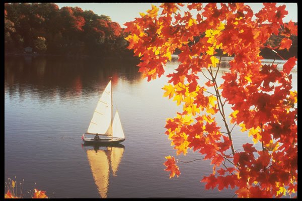 341040 Sailing, Gatineau River At Blackburn Creek, Quebec A4 Photo Print