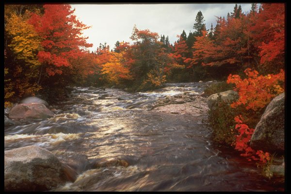 341048 Halfway Brook, Cabot Trail, Nova Scotia A4 Photo Print