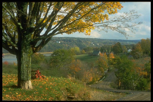 341058 Village Overlooking The Annapolis Basin, Nova Scotia A4 Photo Print