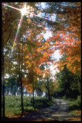 341061 Matawatchan Township, Autumn Splendor A4 Photo Print