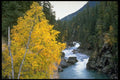 341063 Jasper National Park, Alberta A4 Photo Print