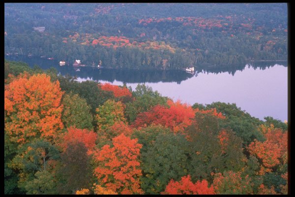 341065 Aerial View Of Haliburton, Dorset, Ontario A4 Photo Print