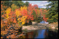 341068 Algonquin Park, Ontario A4 Photo Print