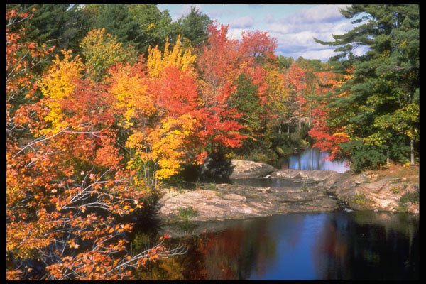 341068 Algonquin Park, Ontario A4 Photo Print