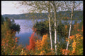 341072 Malabar Point, Gatineau River, Quebec A4 Photo Print