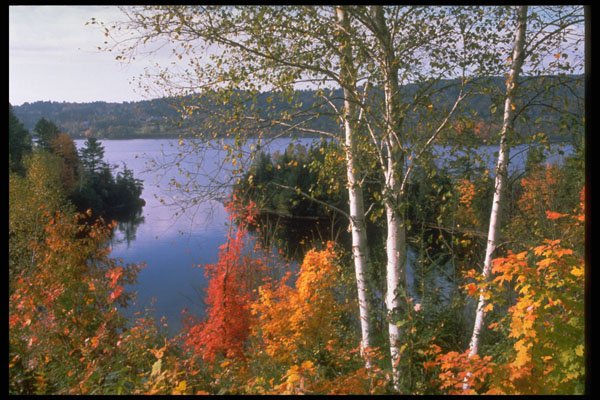 341072 Malabar Point, Gatineau River, Quebec A4 Photo Print