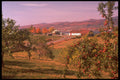 341074 Isle D'Orleans, Quebec A4 Photo Print