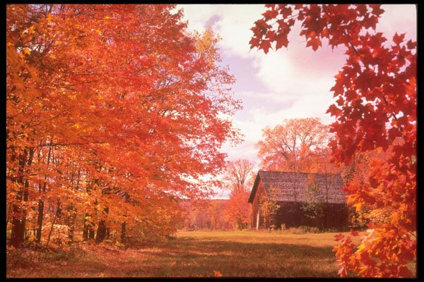 341079 Gatineau Barn, Old Chelsea, Quebec A4 Photo Print