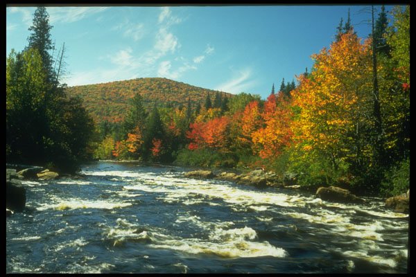 341081 Riviere Du Diable, Quebec A4 Photo Print