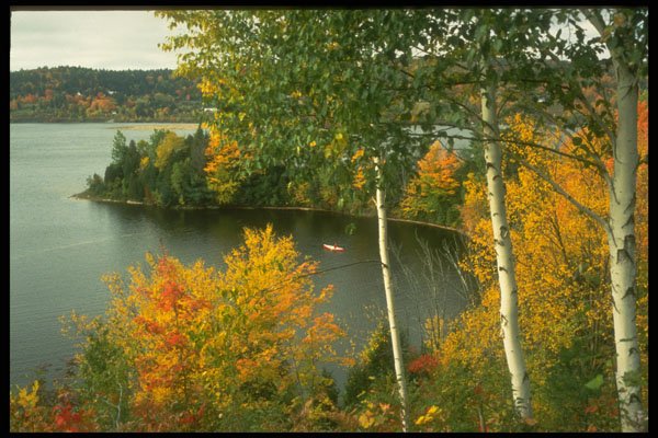 341086 Blackburn Creek & Gatineau River, Cantley, Quebec A4 Photo Print