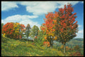 341089 Ste. Adele, Quebec A4 Photo Print