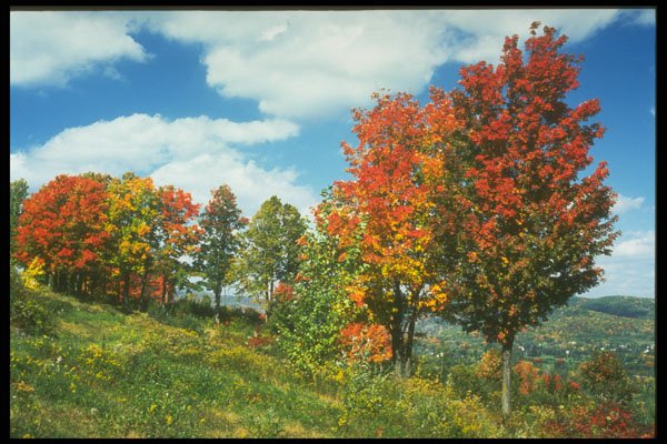 341089 Ste. Adele, Quebec A4 Photo Print