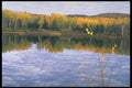 341090 Algonquin Park, Ontario A4 Photo Print