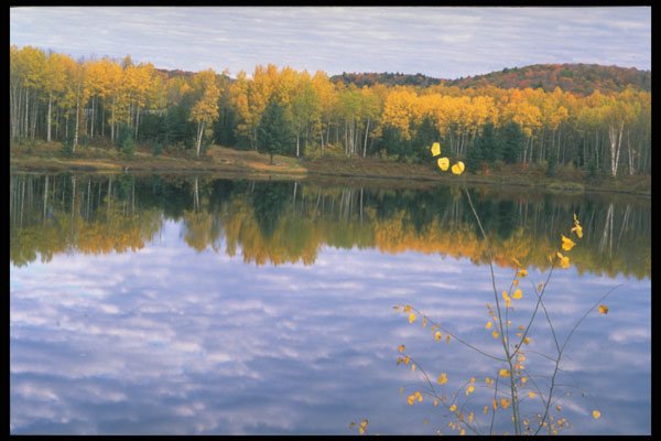341090 Algonquin Park, Ontario A4 Photo Print