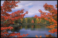 341091 Six Mile Lake, Haliburton Ontario A4 Photo Print