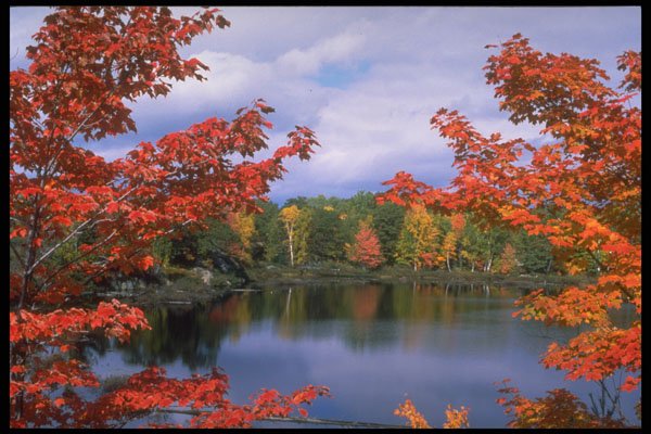 341091 Six Mile Lake, Haliburton Ontario A4 Photo Print