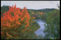 341092 Mattawa River, Ontario A4 Photo Print