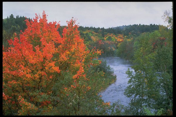 341092 Mattawa River, Ontario A4 Photo Print