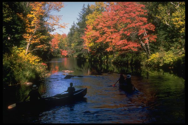 341094 Algonquin Park, Ontario A4 Photo Print