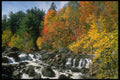 341096 Rouge River, Quebec A4 Photo Print