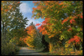 341097 Old River Road, Larue Mills, Ontario A4 Photo Print