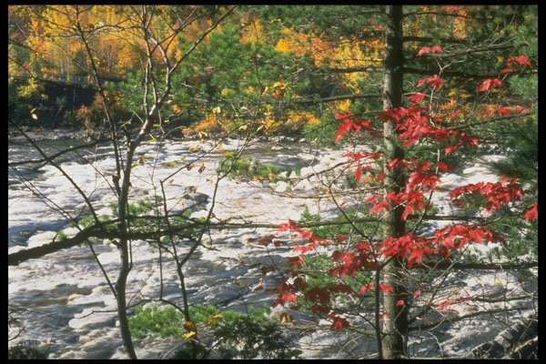 341099 Rouge River, Quebec A4 Photo Print