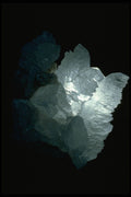 342002 Backlit Fishtail Selenite A4 Photo Print