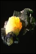 342006 Calcite On Fluorite A4 Photo Print