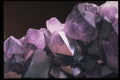 342007 Large Amethyst Crystals (Brazil) A4 Photo Print