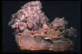 342012 Quartz With Purite A4 Photo Print