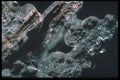 342024 Malchite Butryoidal Aggregate A4 Photo Print