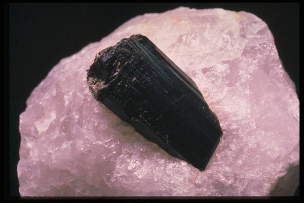 342025 Black Tourmaline In Quartz A4 Photo Print