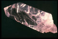342026 Quartz With Natural Quartz A4 Photo Print