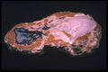 342027 Double Thunder Egg A4 Photo Print