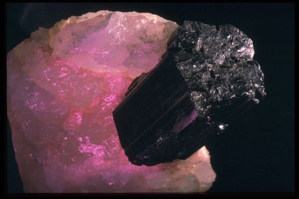 342031 Black Tourmaline In Rose Quartz A4 Photo Print
