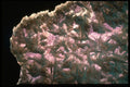 342036 Fluorite Standing Wall (detail) A4 Photo Print