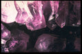 342040 Amethyst Cluster A4 Photo Print