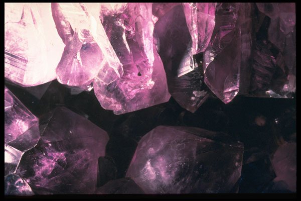 342040 Amethyst Cluster A4 Photo Print