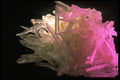 342044 Mexican Selenite Pink A4 Photo Print