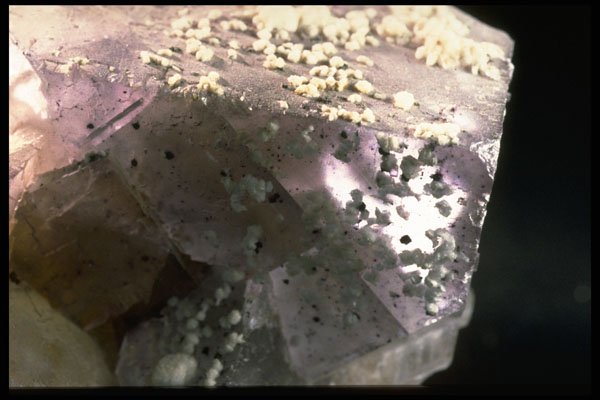 342059 Illinois Fluorite (detail) A4 Photo Print