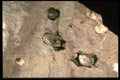 342077 Three Herkimer Diamonds A4 Photo Print