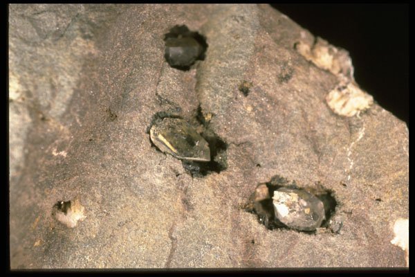342077 Three Herkimer Diamonds A4 Photo Print